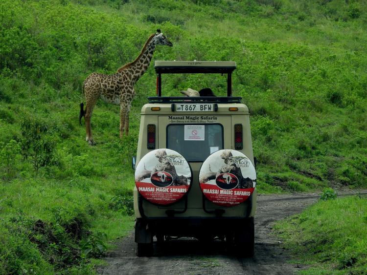Serengeti National Park​
