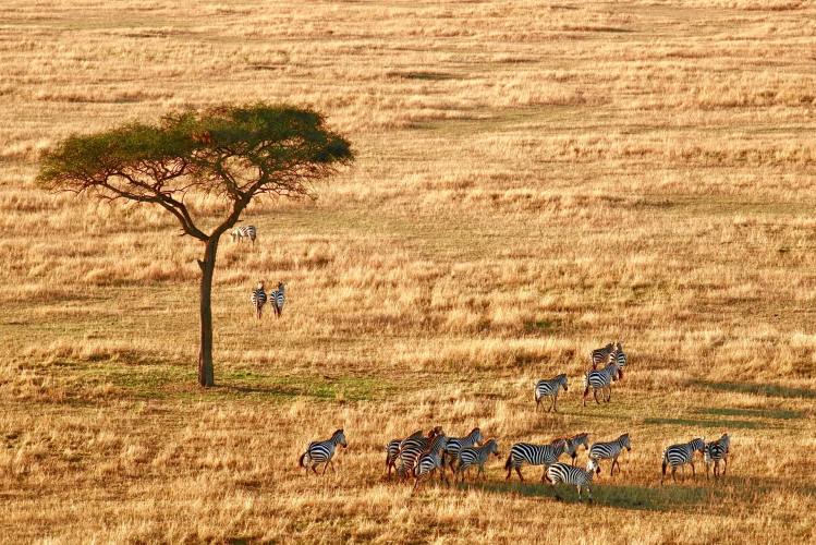 Ngorongoro Conservation Area​